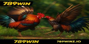 Cá cược đá gà 789win