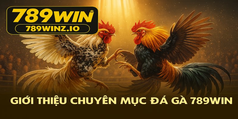 Giới thiệu đá gà 789win