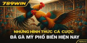 Hình Thức đá gà mỹ 789win