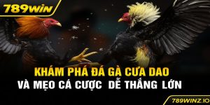 Khám Phá đá gà cựa dao