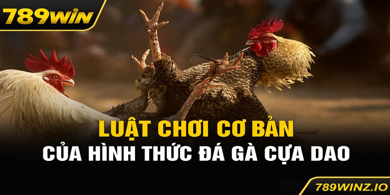 Luật Chơi Đá Gà