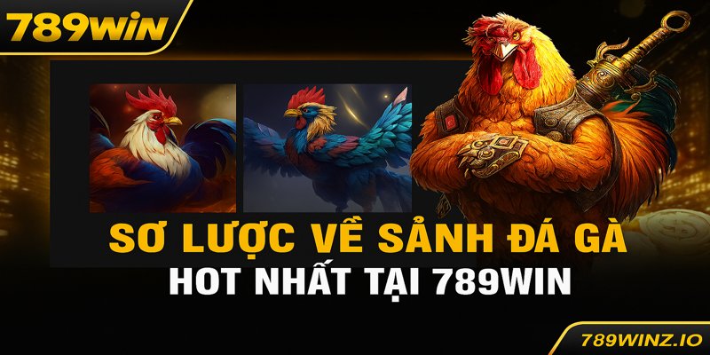 Sảnh đá gà 789win