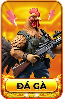 Đá gà 79win